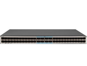 48 個 25GE SFP28 端口，8 個 100GE QSFP28 端口，三層以太網交換機